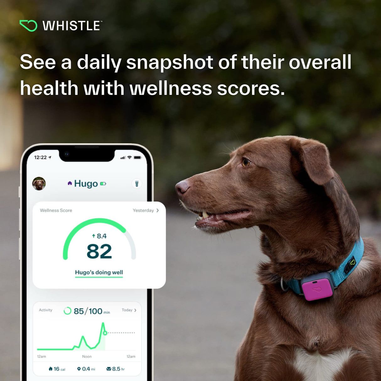 Whistle Go Explore/The Ultimate Health + GPS Location Tracker for Pets/Grey