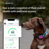 Whistle Go Explore/The Ultimate Health + GPS Location Tracker for Pets/Grey