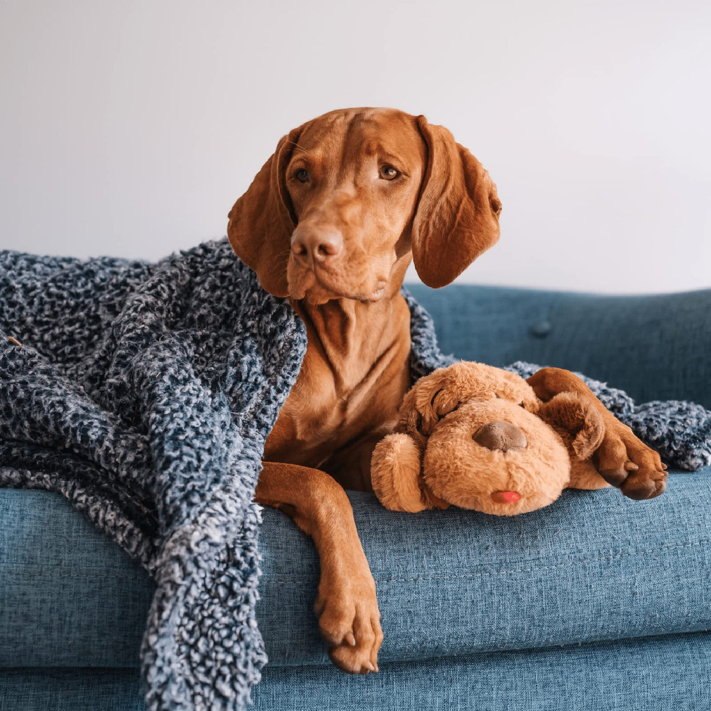 Original Snuggle Puppy Heartbeat Stuffed Dog Toy. Puppy Toy for Anxiety Relief, Calming Aid, and Comfort Toy for Behavioral Training in Golden