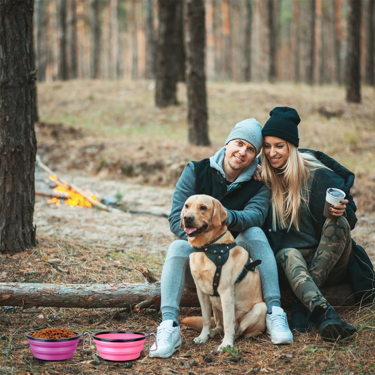 Dog Bowl Pet Collapsible Bowls, 2 Pack for Cats Dogs, Portable Pet Feeding Watering Dish for Walking Parking Traveling with 2 Carabiners (Small, Blue+Green)