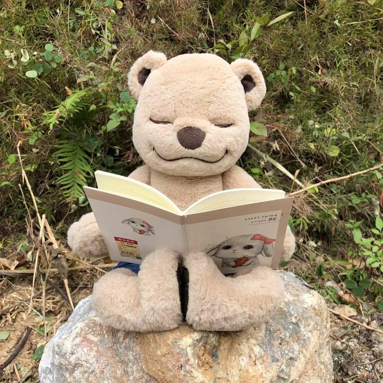 Meddy Teddy The Yoga Bear