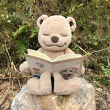 Meddy Teddy The Yoga Bear