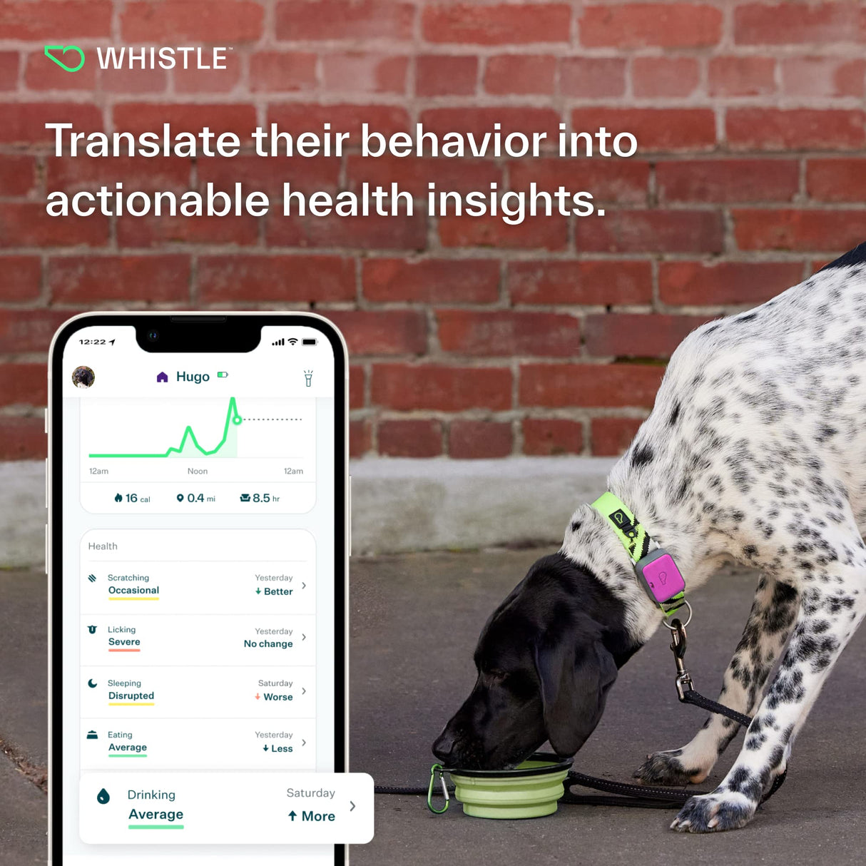 Whistle Go Explore/The Ultimate Health + GPS Location Tracker for Pets/Grey