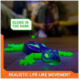 HEX BOTS Wall Crawler Gecko, Rechargeable Remote Control Robot Kids Toys, Climbs up Walls, RC Robot Toys for Boys & Girls Ages 4 & Up