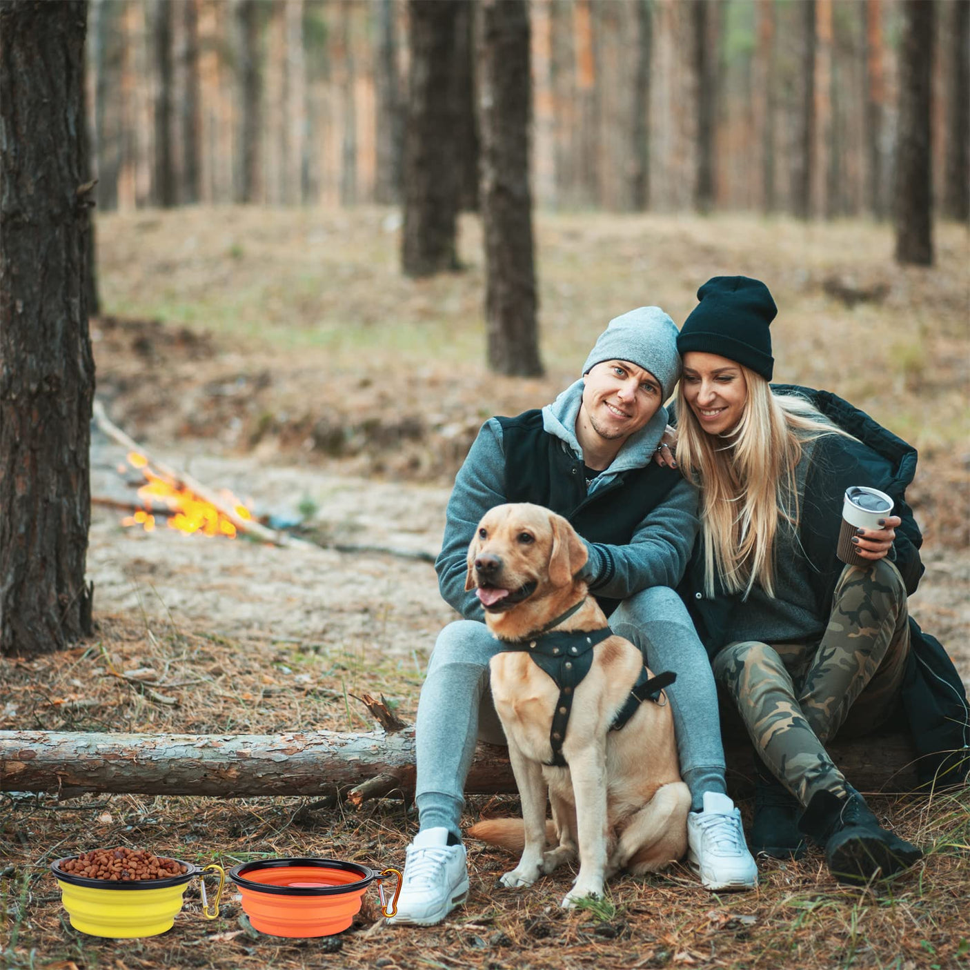 Dog Bowl Pet Collapsible Bowls, 2 Pack for Cats Dogs, Portable Pet Feeding Watering Dish for Walking Parking Traveling with 2 Carabiners (Small, Blue+Green)