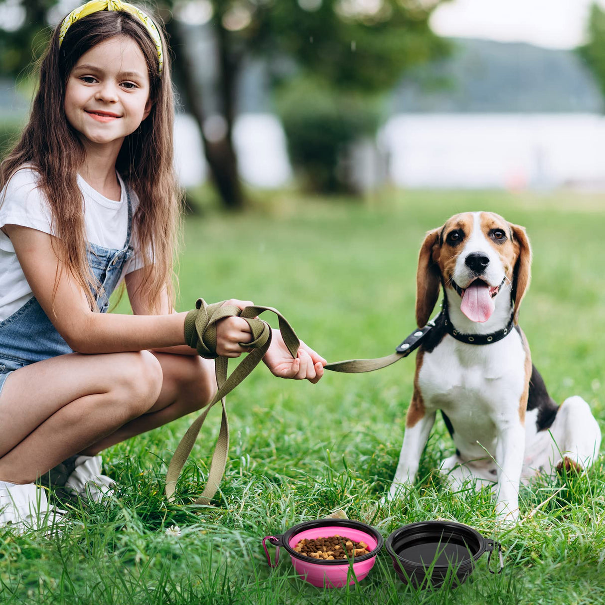Dog Bowl Pet Collapsible Bowls, 2 Pack for Cats Dogs, Portable Pet Feeding Watering Dish for Walking Parking Traveling with 2 Carabiners (Small, Blue+Green)