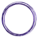 Digital Energy Kinetic Educational Spring Toy - Multi Sensory Interactive 3D Shaped Flow Ring ()