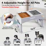 UPSKY 2-in-1 Elevated Dog Bowls Slow Feeder, 4 Height Adjustable Raised Bowls Stand, No Spill Dog Water Bowls, Anti-Slip Food and Water Bowl for Small Medium Dogs(Not Include Stainless Steel Bowl)