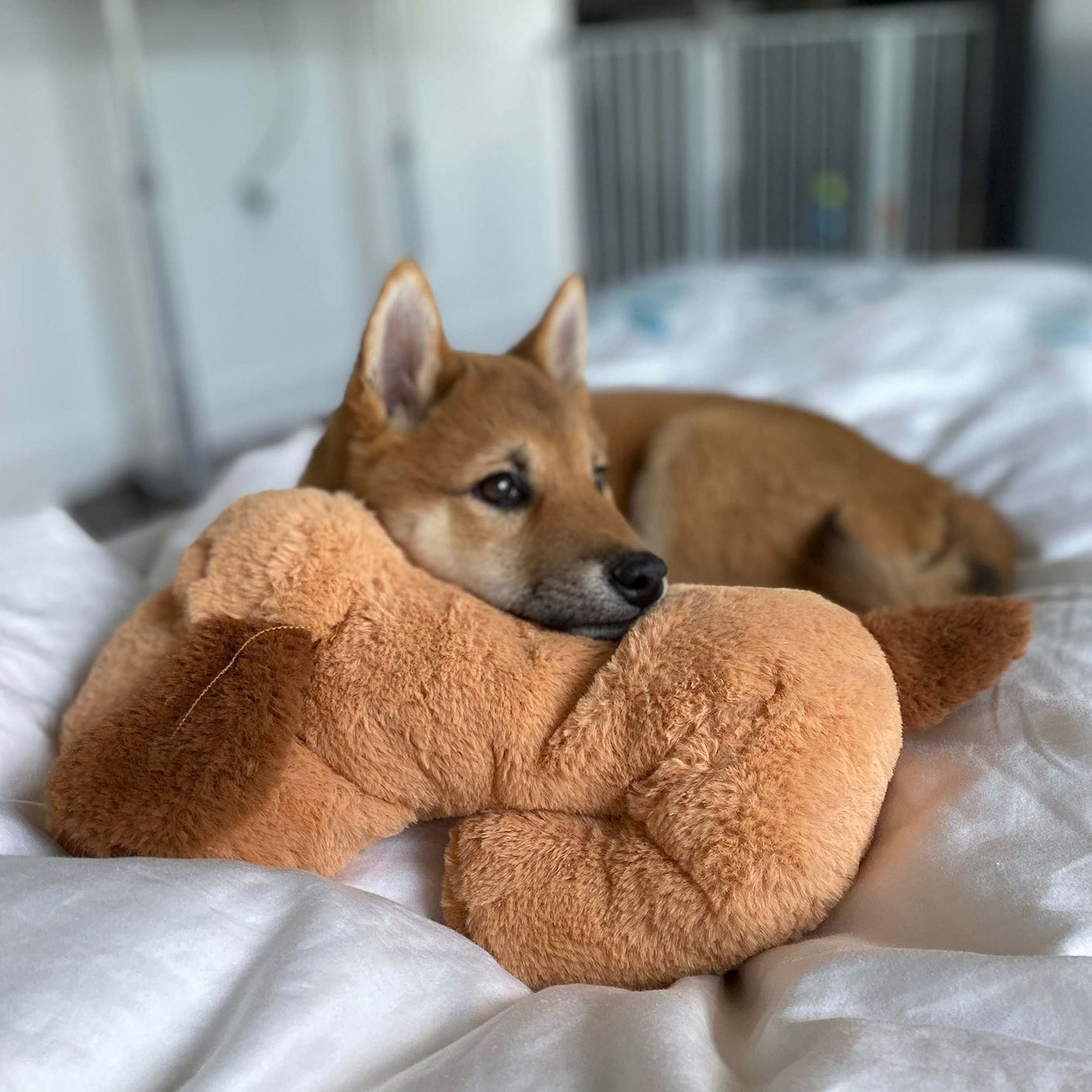 Original Snuggle Puppy Heartbeat Stuffed Dog Toy. Puppy Toy for Anxiety Relief, Calming Aid, and Comfort Toy for Behavioral Training in Golden