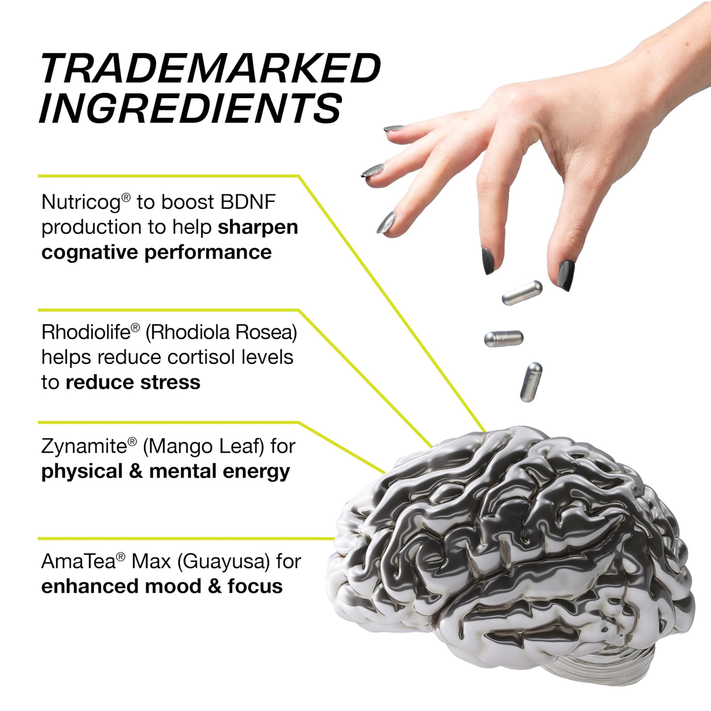 Magnetic Mind - Premium Cognitive Supplement for Ultra Focused Energy, Clarity, & Drive - Nootropic Designed for Long-Term Brain Health, Memory & Focus | 30 Day Supply - No Artificial Colors