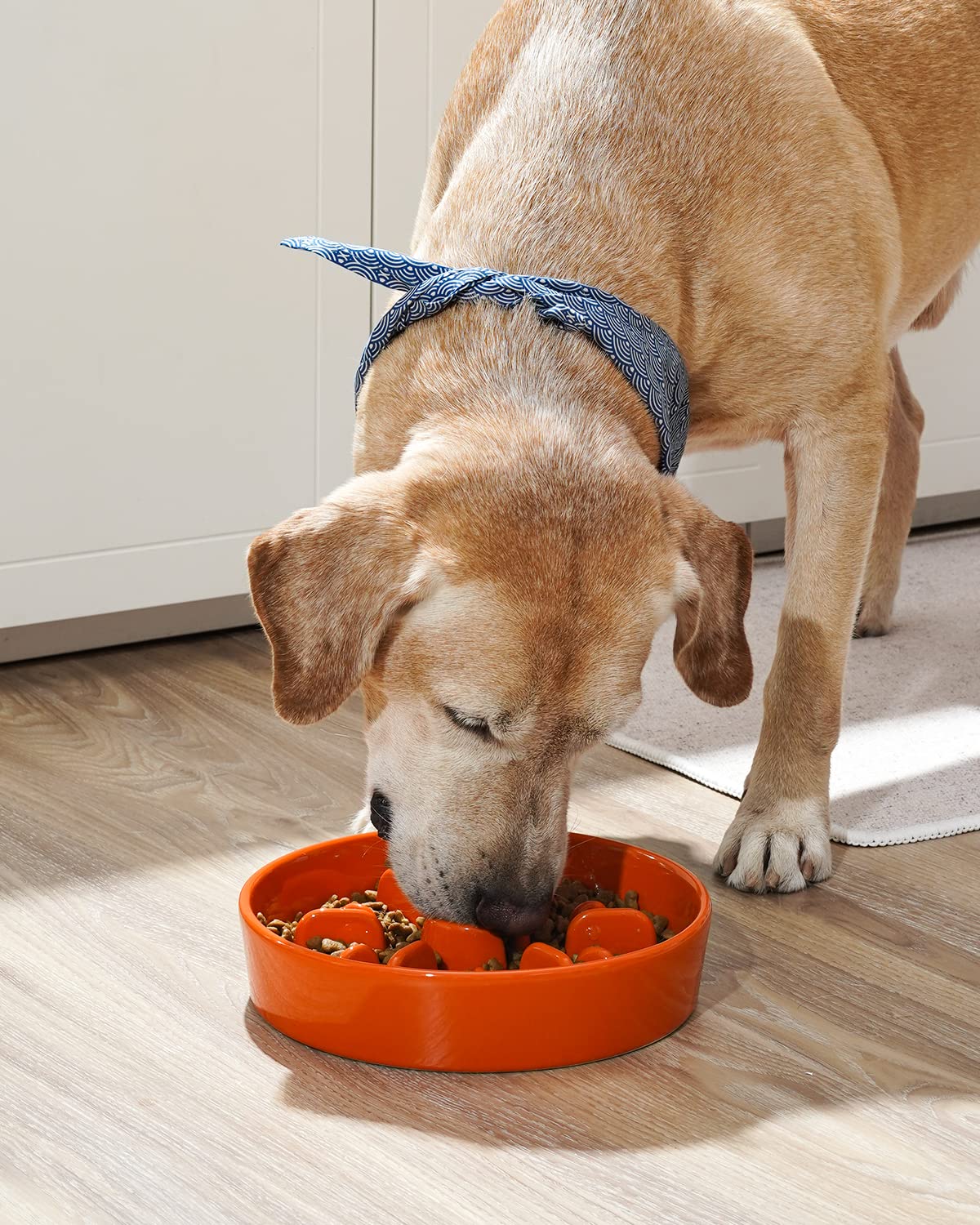 LE TAUCI Dog Bowls Slow Feeder Ceramic, 1.5 Cups Slow Feeding Dog Bowl Small Medium Breed, Puppy Slow Feeder Bowl for Fast Eater, Dog Dishes to Slow Down Eating, Puzzle Dog Food Bowl, Maze Purple