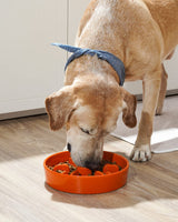 LE TAUCI Dog Bowls Slow Feeder Ceramic, 1.5 Cups Slow Feeding Dog Bowl Small Medium Breed, Puppy Slow Feeder Bowl for Fast Eater, Dog Dishes to Slow Down Eating, Puzzle Dog Food Bowl, Maze Purple