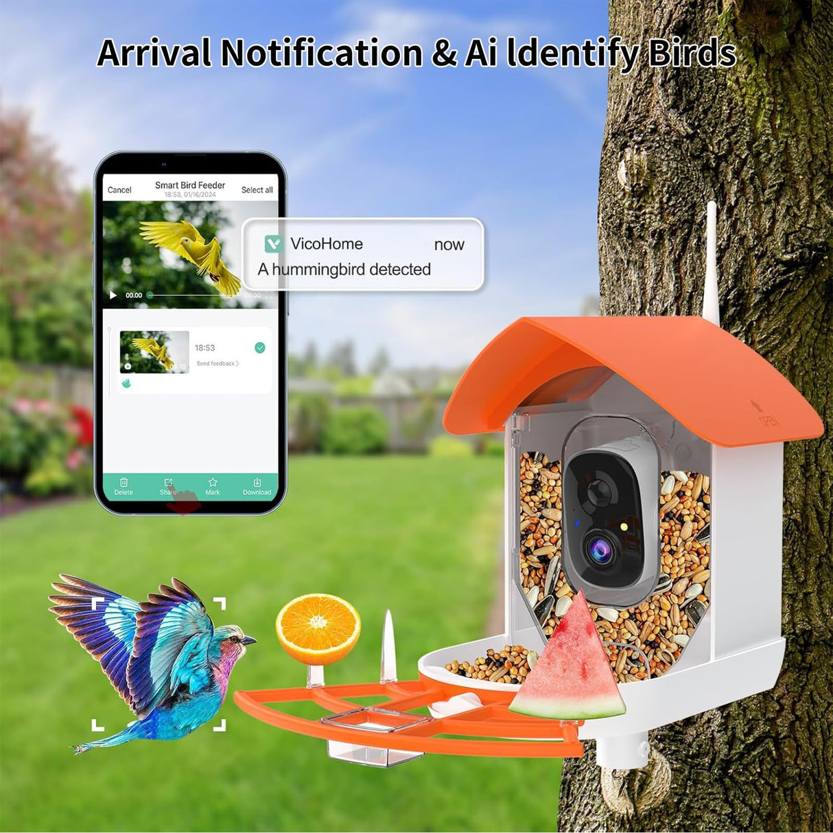 Bird Feeder with Camera,AI Identify Birds Species,Smart Birds Camera with Solar Powered,Auto Record 2K Birds Video in Backyard,Instant Notifications,Ideal Gifts for Family and Bird Lovers,Navy Blue