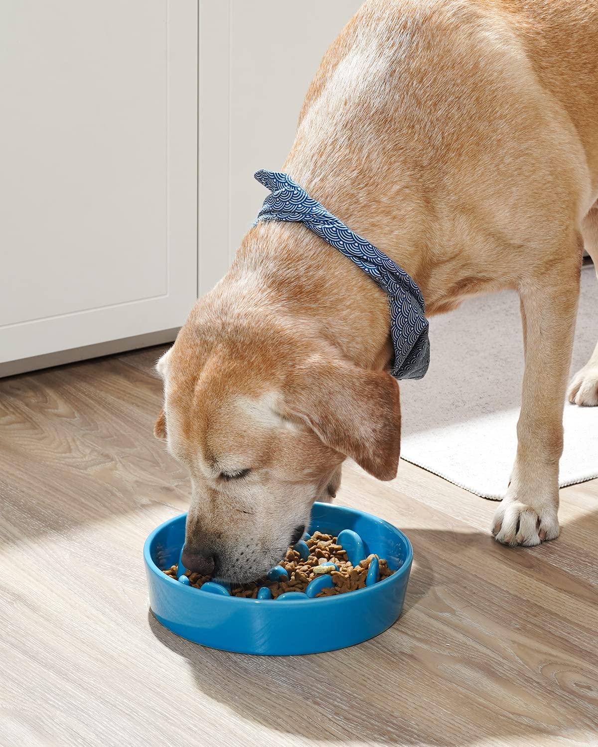LE TAUCI Dog Bowls Slow Feeder Ceramic, 1.5 Cups Slow Feeding Dog Bowl Small Medium Breed, Puppy Slow Feeder Bowl for Fast Eater, Dog Dishes to Slow Down Eating, Puzzle Dog Food Bowl, Maze Purple