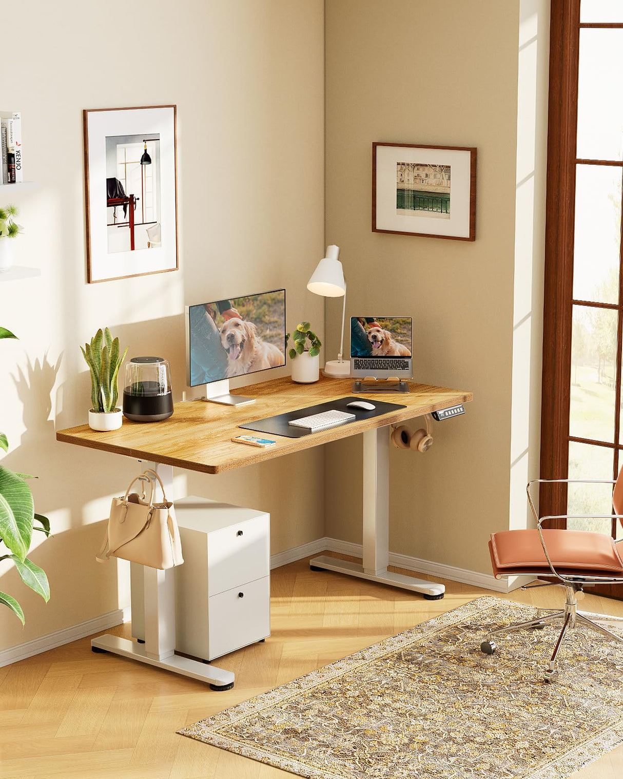ErGear Height Adjustable Electric Standing Desk, 55 x 28 Inches Sit Stand up Desk, Large Memory Computer Home Office Desk with Two-Piece Desktop (Black)