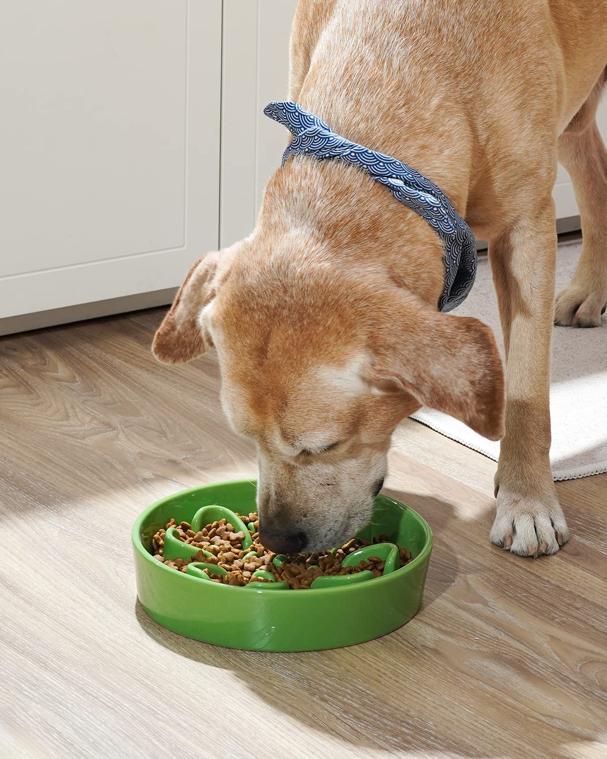 LE TAUCI Dog Bowls Slow Feeder Ceramic, 1.5 Cups Slow Feeding Dog Bowl Small Medium Breed, Puppy Slow Feeder Bowl for Fast Eater, Dog Dishes to Slow Down Eating, Puzzle Dog Food Bowl, Maze Purple