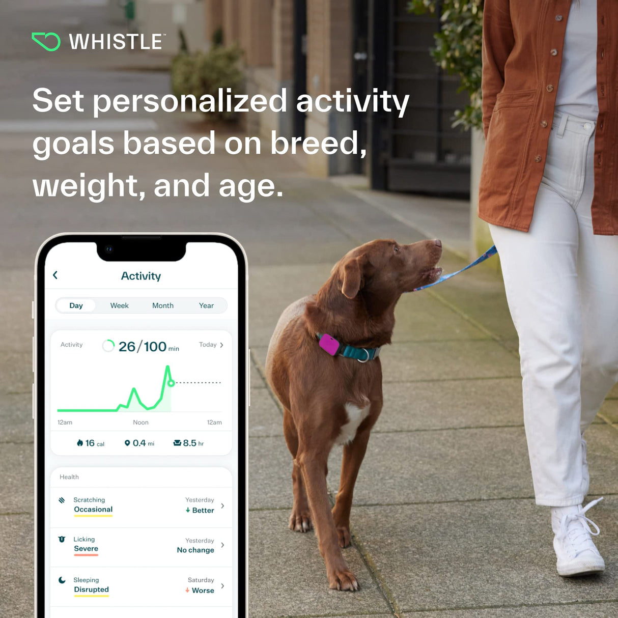 Whistle Go Explore/The Ultimate Health + GPS Location Tracker for Pets/Grey