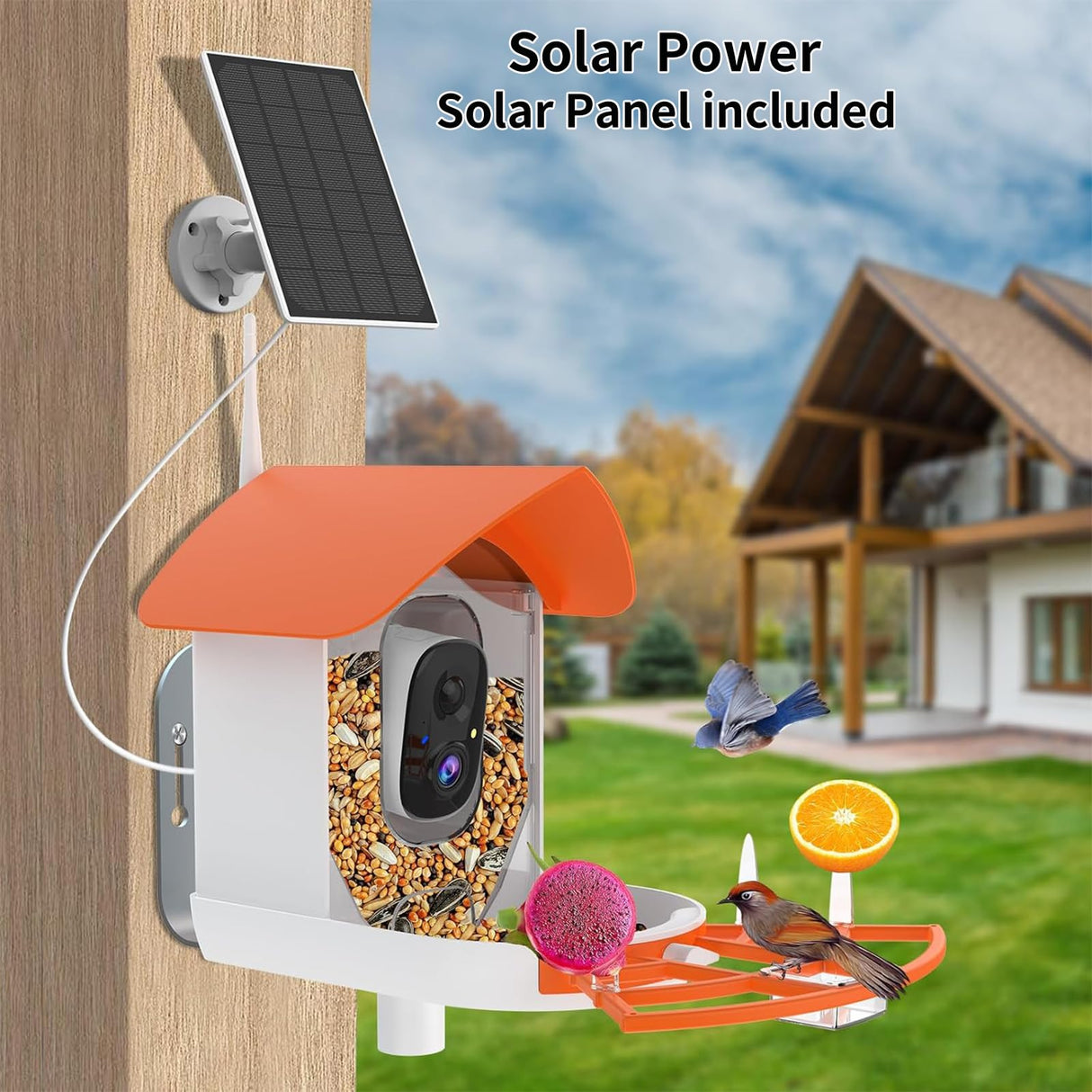 Bird Feeder with Camera,AI Identify Birds Species,Smart Birds Camera with Solar Powered,Auto Record 2K Birds Video in Backyard,Instant Notifications,Ideal Gifts for Family and Bird Lovers,Navy Blue