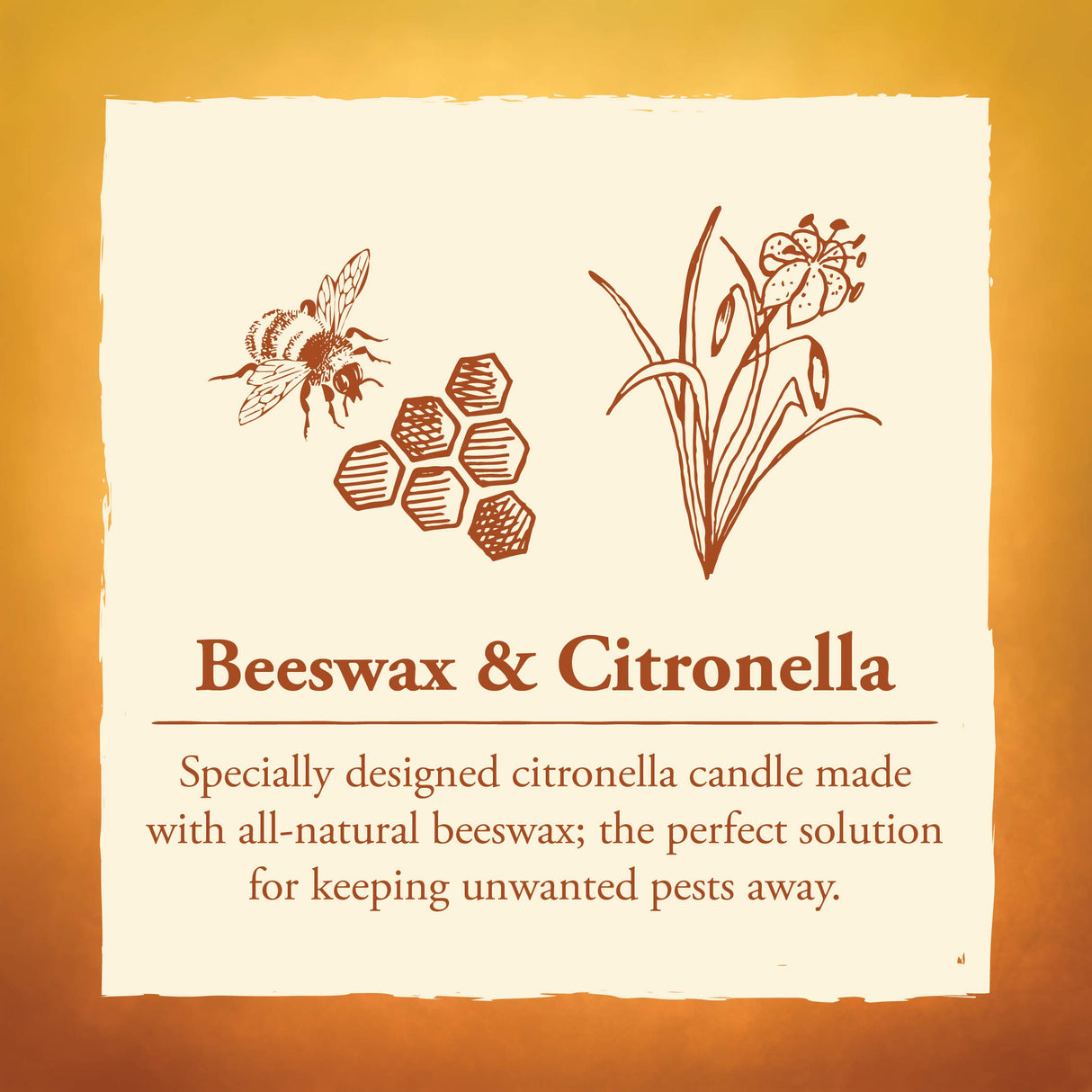 Candle by the Hour 80-Hour Vertical Candle, Eco-friendly Natural Beeswax with Cotton Wick