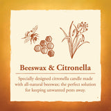 Candle by the Hour 80-Hour Vertical Candle, Eco-friendly Natural Beeswax with Cotton Wick