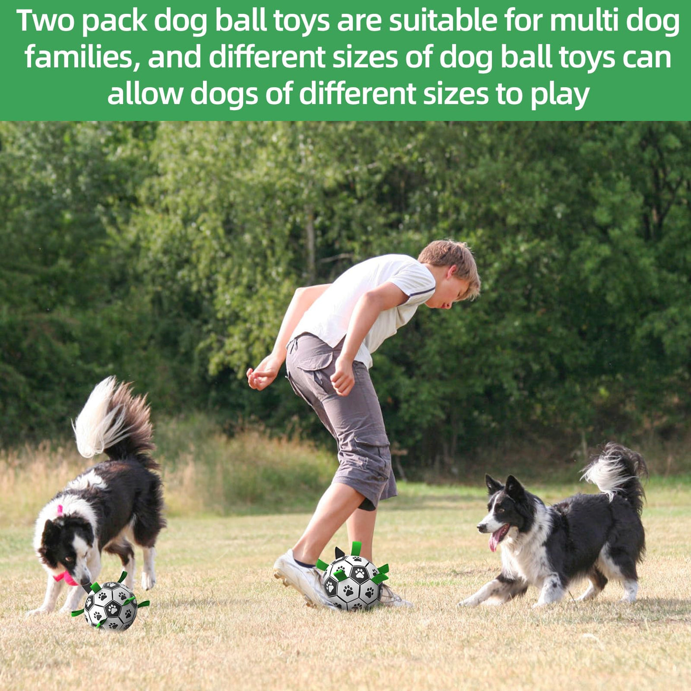 QDAN Premium Dog Toys Balls, Dog Soccer Ball with Straps, Dog Birthday Gifts, Herding Ball, Durable Balls for Small Medium Pet, Puppy Outdoor Toy, Pet Training Soccer Ball, World Cup Soccer (6 Inch)