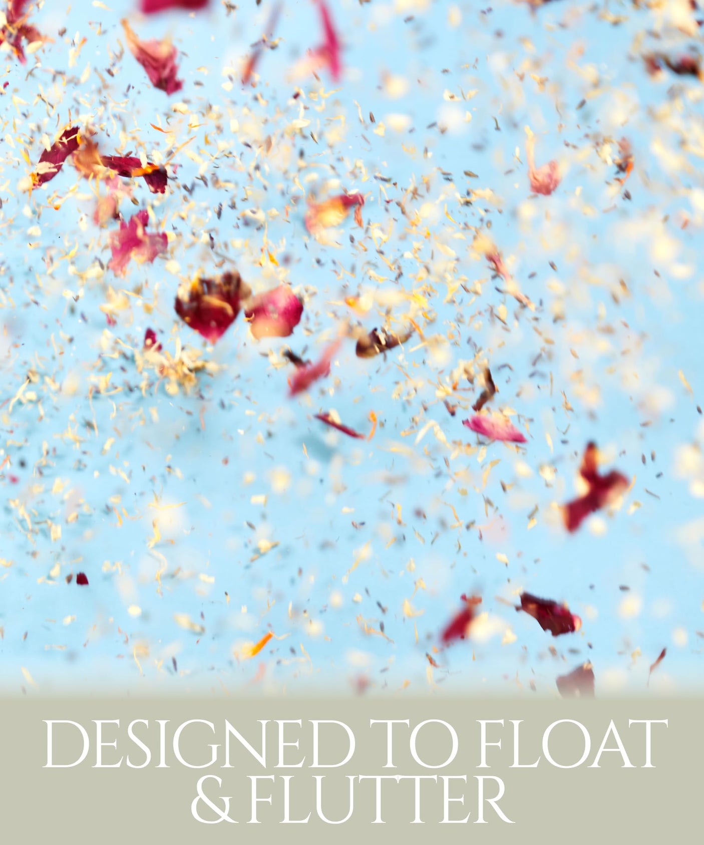 Biodegradable Confetti (48 Guests)