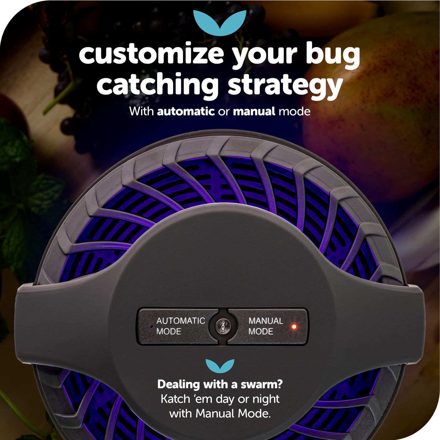 Katchy Indoor Insect Trap - Catcher & Killer for Mosquitos, Gnats, Moths, Fruit Flies - Non-Zapper Traps for Inside Your Home - Catch Insects Indoors with Suction, Bug Light & Sticky Glue (Black)