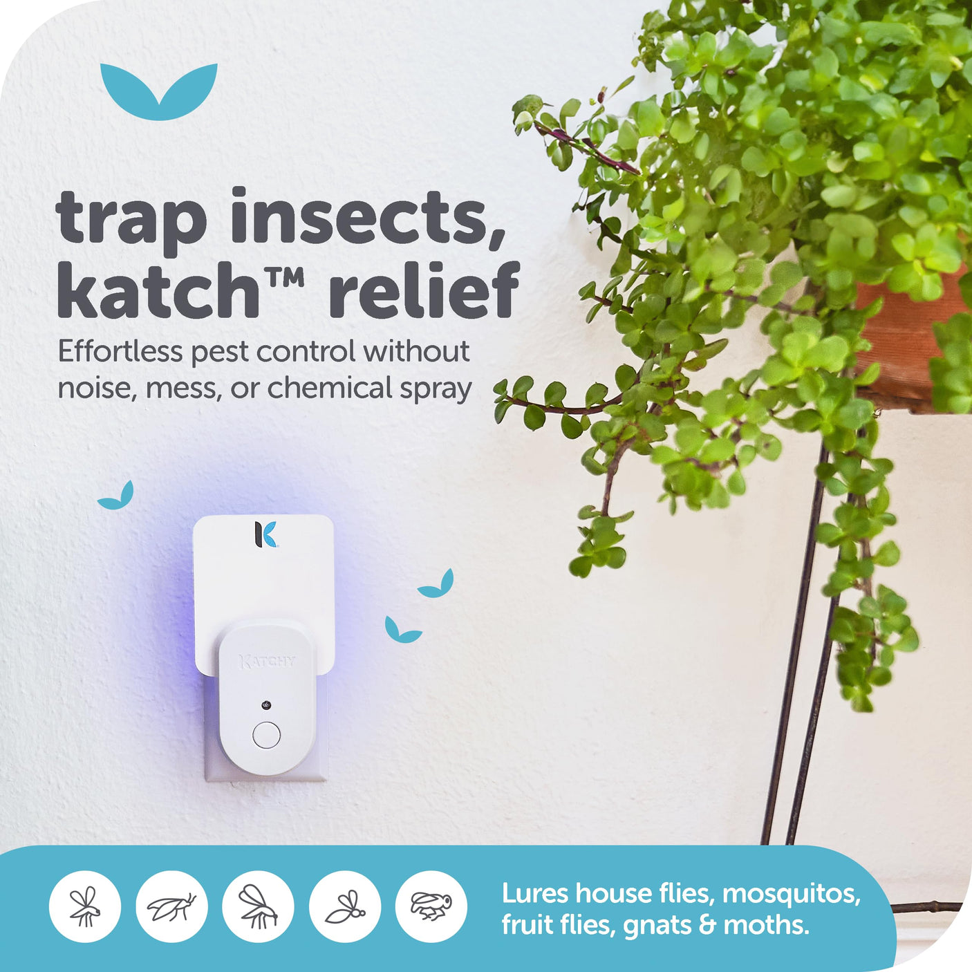 Katchy Indoor Insect Trap - Catcher & Killer for Mosquitos, Gnats, Moths, Fruit Flies - Non-Zapper Traps for Inside Your Home - Catch Insects Indoors with Suction, Bug Light & Sticky Glue (Black)