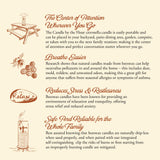Candle by the Hour 80-Hour Vertical Candle, Eco-friendly Natural Beeswax with Cotton Wick
