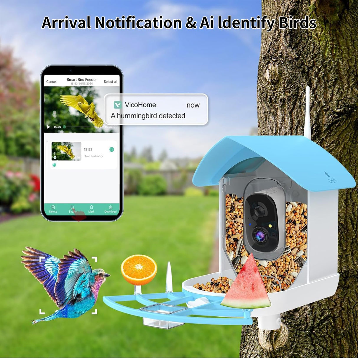 Bird Feeder with Camera,AI Identify Birds Species,Smart Birds Camera with Solar Powered,Auto Record 2K Birds Video in Backyard,Instant Notifications,Ideal Gifts for Family and Bird Lovers,Navy Blue