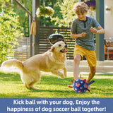 QDAN Premium Dog Toys Balls, Dog Soccer Ball with Straps, Dog Birthday Gifts, Herding Ball, Durable Balls for Small Medium Pet, Puppy Outdoor Toy, Pet Training Soccer Ball, World Cup Soccer (6 Inch)