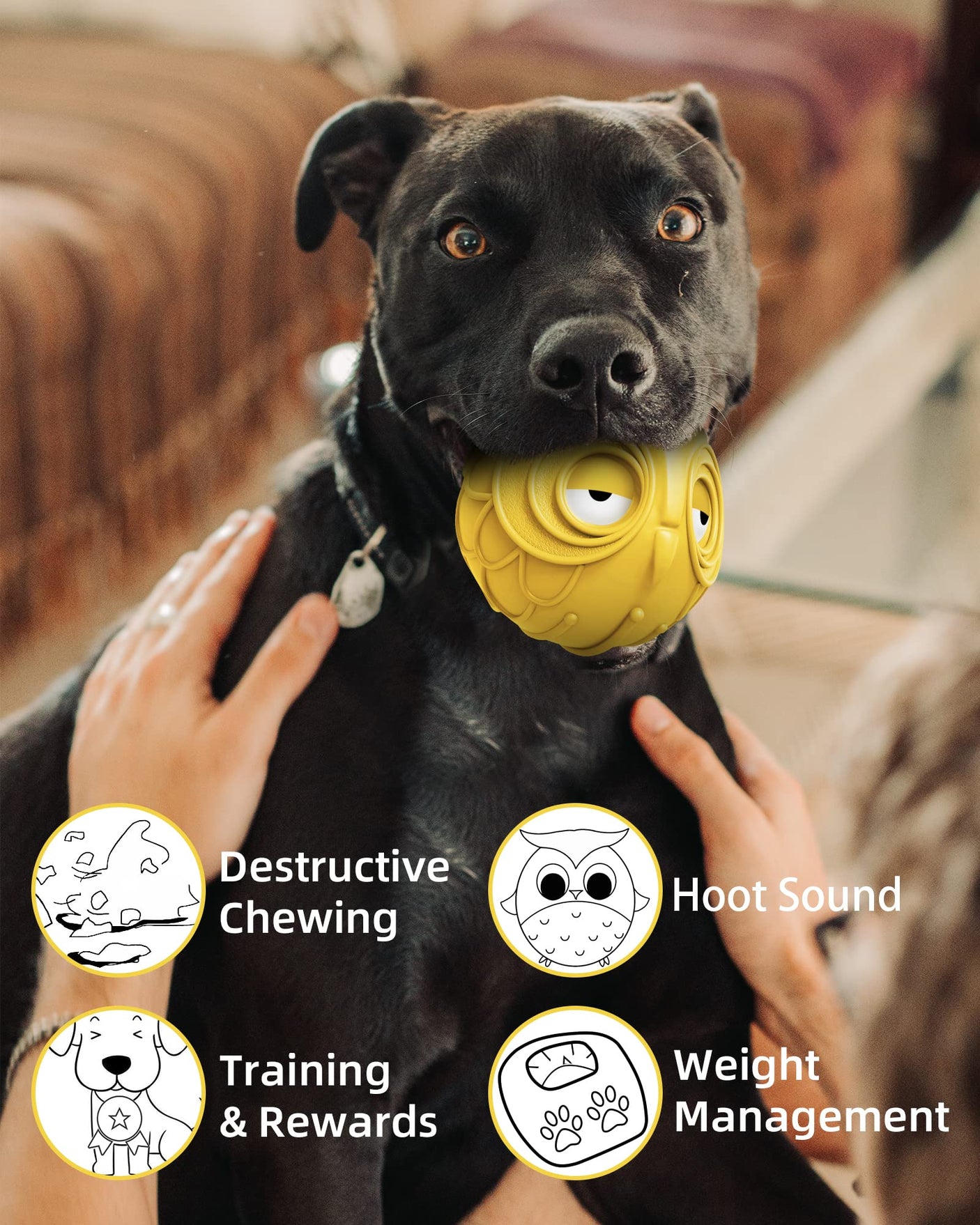 Giggle Ball for Dogs Owl Dog Toys for Aggressive Chewers Medium Large Dogs Fun Gift for Dog Natural Rubber Herding Ball for Dogs Cute Owl Hoot Brown New