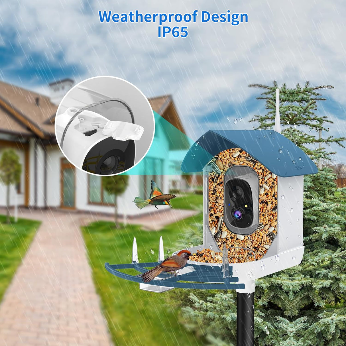 Bird Feeder with Camera,AI Identify Birds Species,Smart Birds Camera with Solar Powered,Auto Record 2K Birds Video in Backyard,Instant Notifications,Ideal Gifts for Family and Bird Lovers,Navy Blue