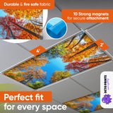 Magnetic Fluorescent Light Covers for Ceiling Lights - Astronomy Cover for Fluorescent & LED Fixture - Must Haves for Teacher Supplies - Classroom, Home, Office Decor - Shield Overhead Lighting