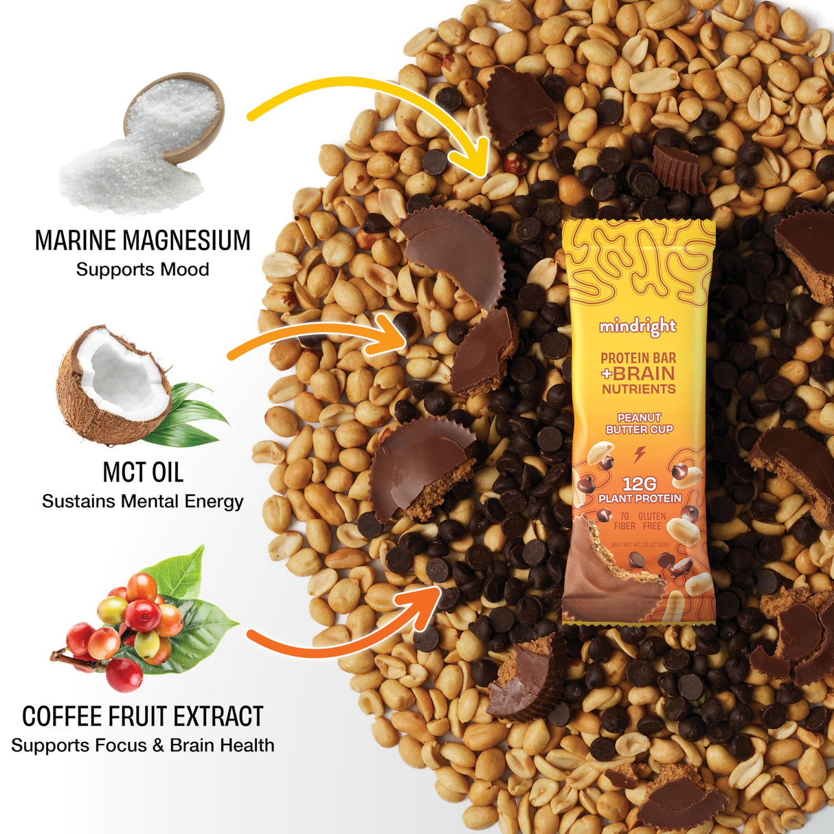 Mindright Superfood Vegan Protein Bar | Gluten Free, Non-Gmo, Low Sugar | Brain Food Snack to Enhance Mood, Energy, and Focus | Pack of 12 (Peanut Butter Cup)