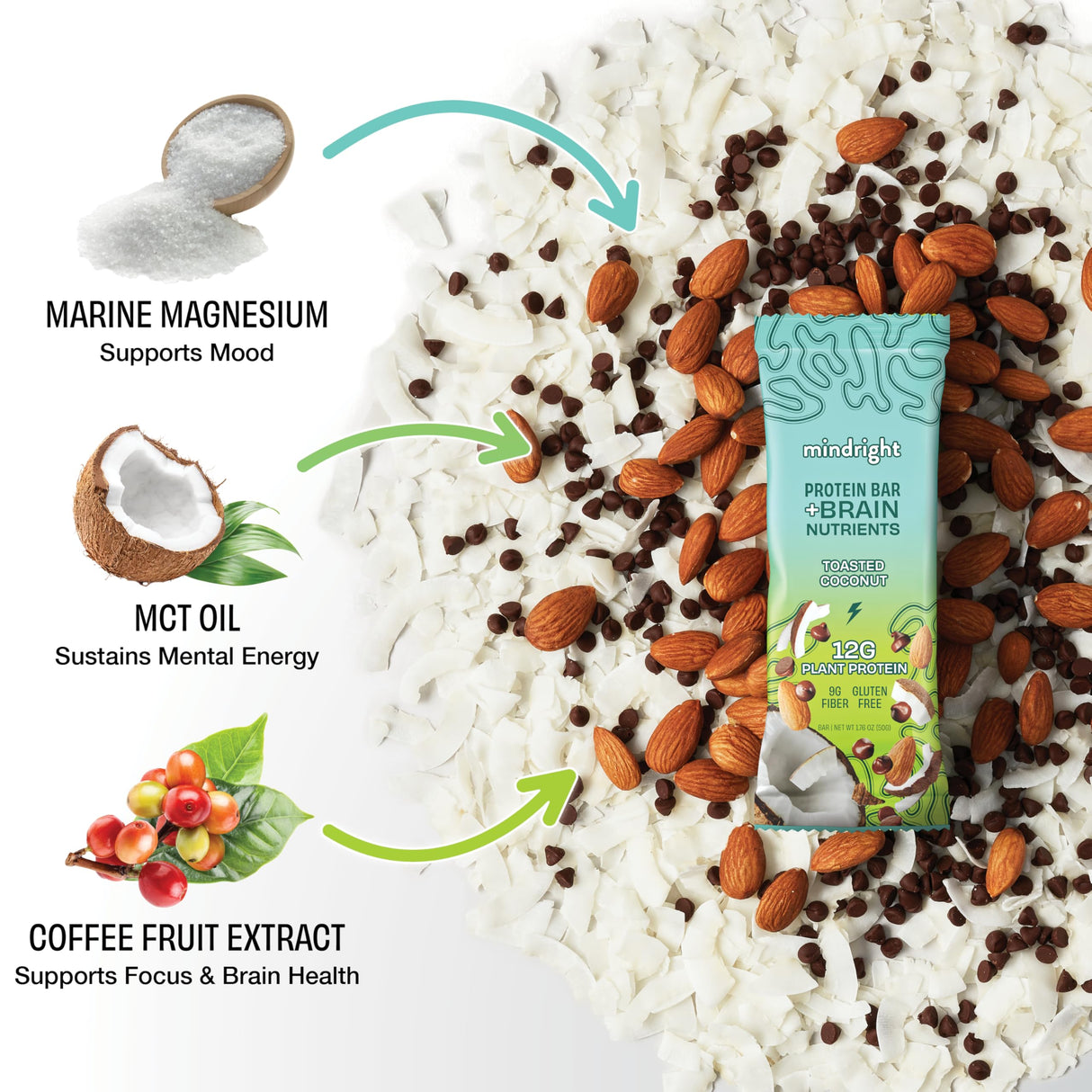Mindright Superfood Vegan Protein Bar | Gluten Free, Non-Gmo, Low Sugar | Brain Food Snack to Enhance Mood, Energy, and Focus | Pack of 12 (Peanut Butter Cup)