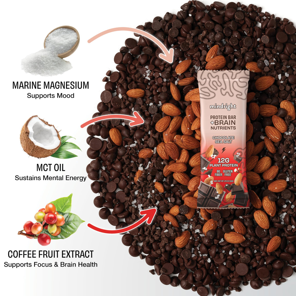 Mindright Superfood Vegan Protein Bar | Gluten Free, Non-Gmo, Low Sugar | Brain Food Snack to Enhance Mood, Energy, and Focus | Pack of 12 (Peanut Butter Cup)