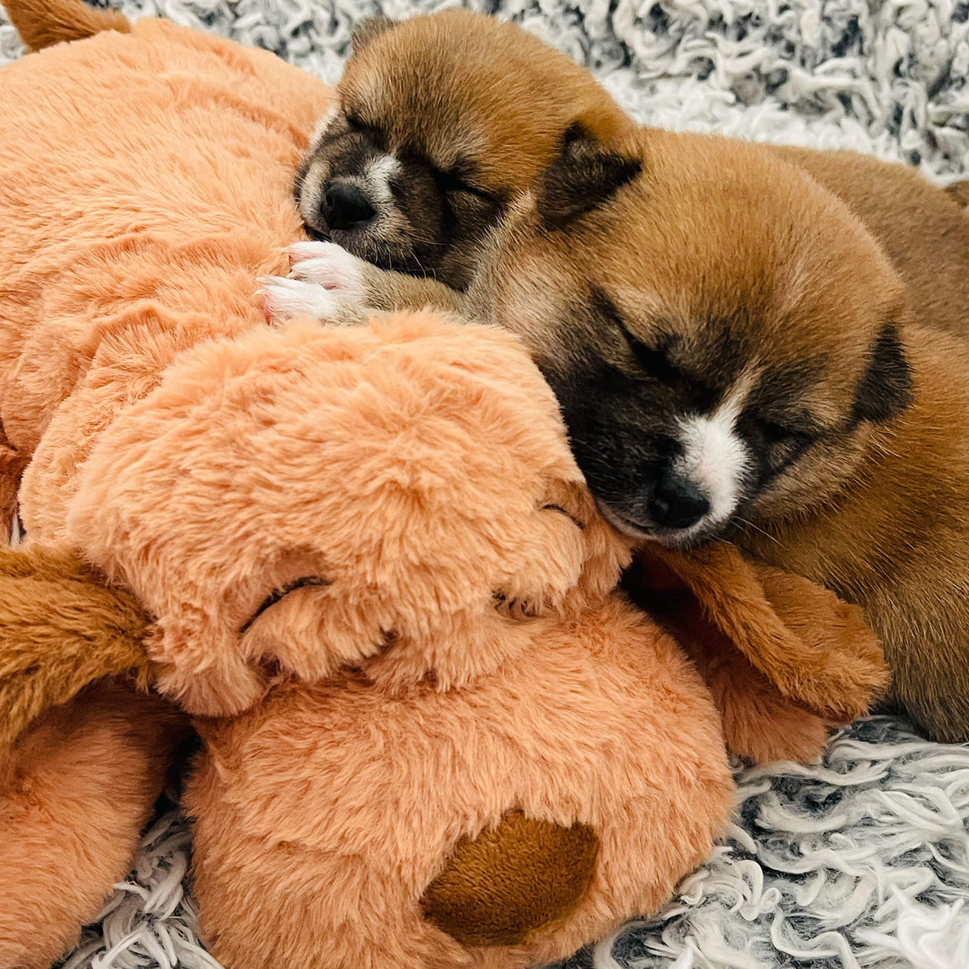 Original Snuggle Puppy Heartbeat Stuffed Dog Toy. Puppy Toy for Anxiety Relief, Calming Aid, and Comfort Toy for Behavioral Training in Golden