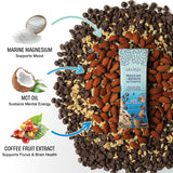 Mindright Superfood Vegan Protein Bar | Gluten Free, Non-Gmo, Low Sugar | Brain Food Snack to Enhance Mood, Energy, and Focus | Pack of 12 (Peanut Butter Cup)
