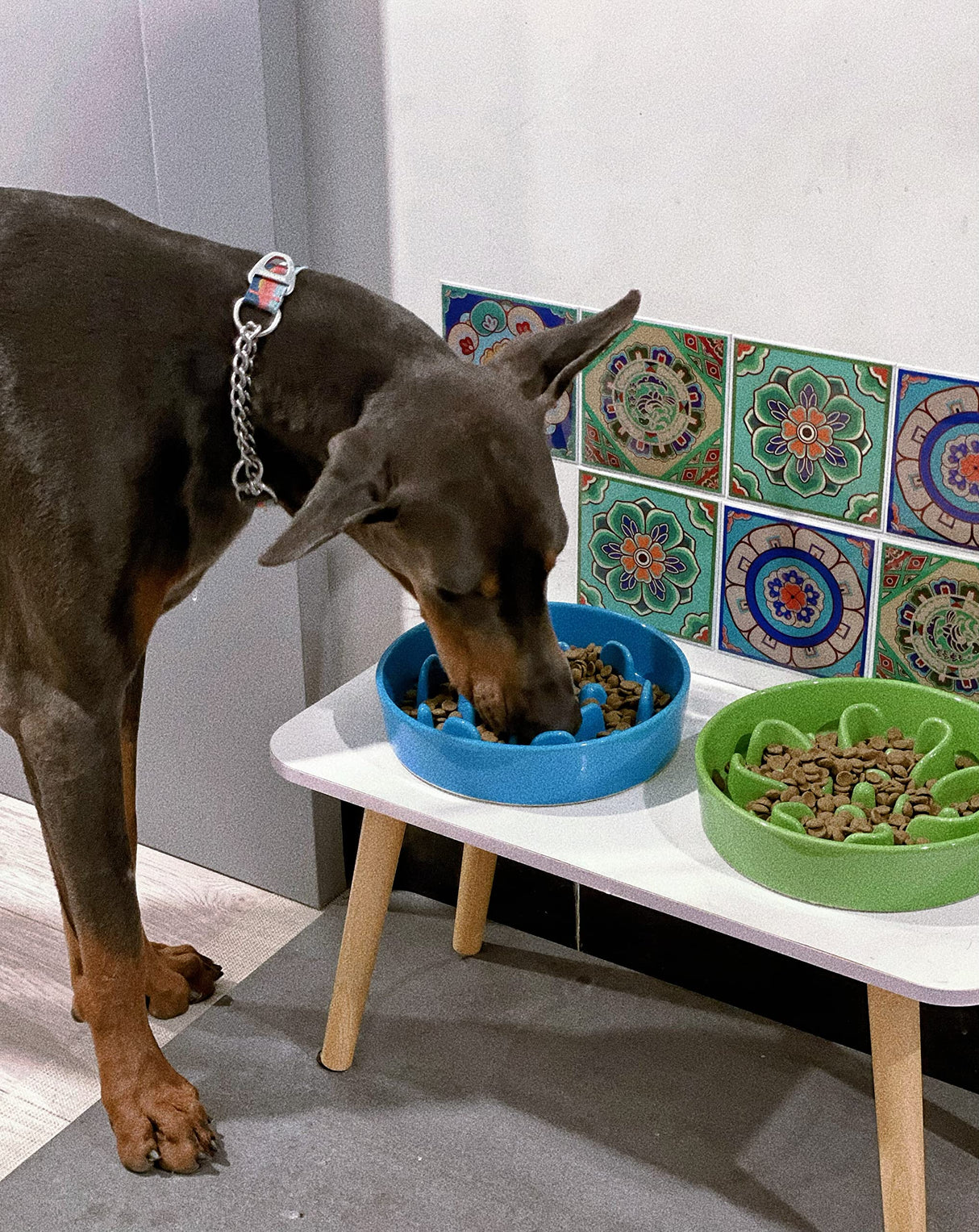 LE TAUCI Dog Bowls Slow Feeder Ceramic, 1.5 Cups Slow Feeding Dog Bowl Small Medium Breed, Puppy Slow Feeder Bowl for Fast Eater, Dog Dishes to Slow Down Eating, Puzzle Dog Food Bowl, Maze Purple