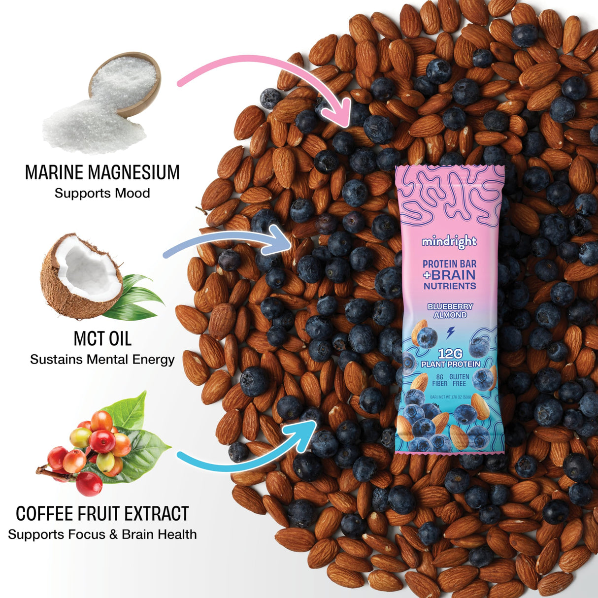 Mindright Superfood Vegan Protein Bar | Gluten Free, Non-Gmo, Low Sugar | Brain Food Snack to Enhance Mood, Energy, and Focus | Pack of 12 (Peanut Butter Cup)