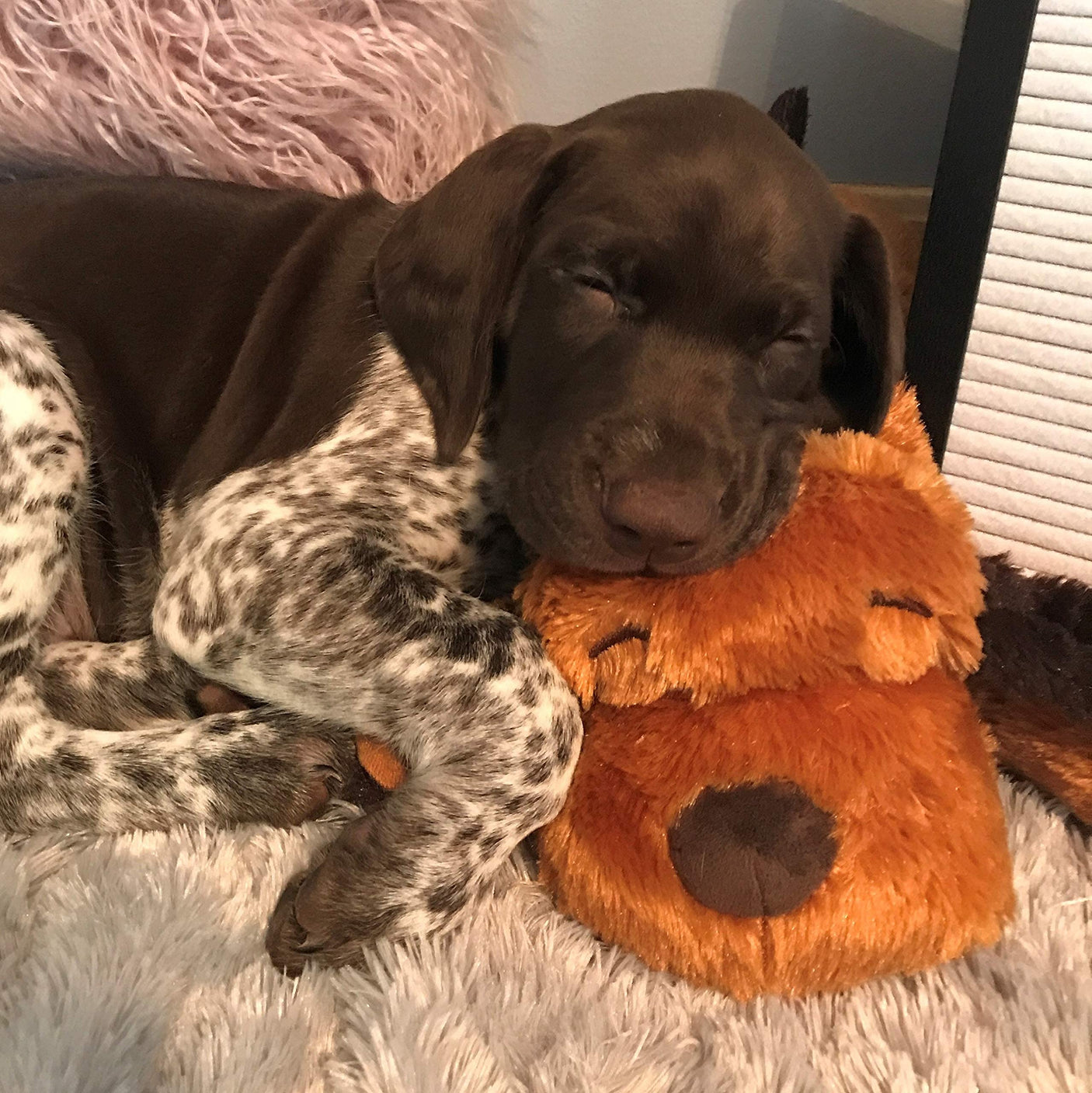 Original Snuggle Puppy Heartbeat Stuffed Dog Toy. Puppy Toy for Anxiety Relief, Calming Aid, and Comfort Toy for Behavioral Training in Golden