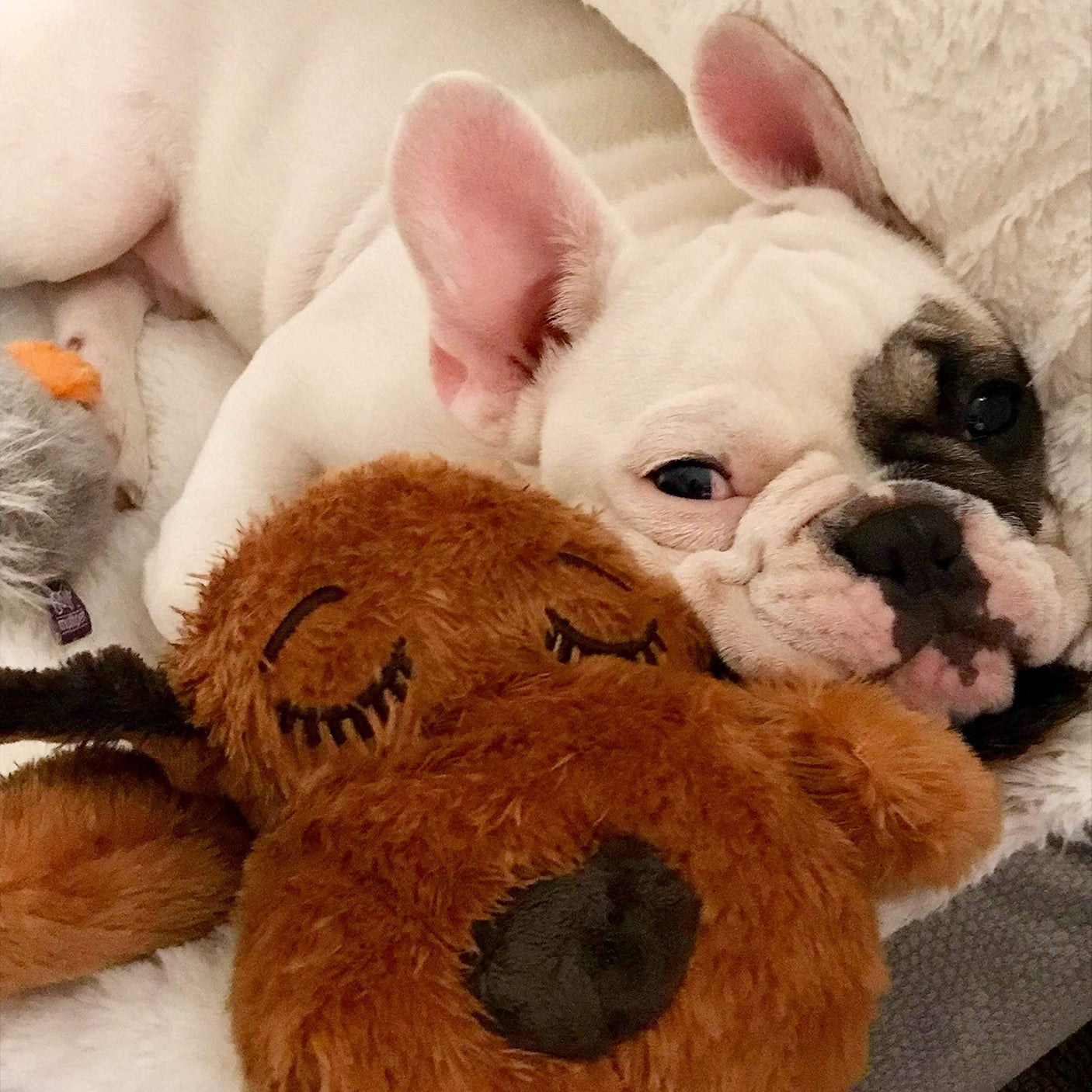 Original Snuggle Puppy Heartbeat Stuffed Dog Toy. Puppy Toy for Anxiety Relief, Calming Aid, and Comfort Toy for Behavioral Training in Golden