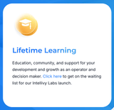Intellivy - Market Research - Build Your Ideas