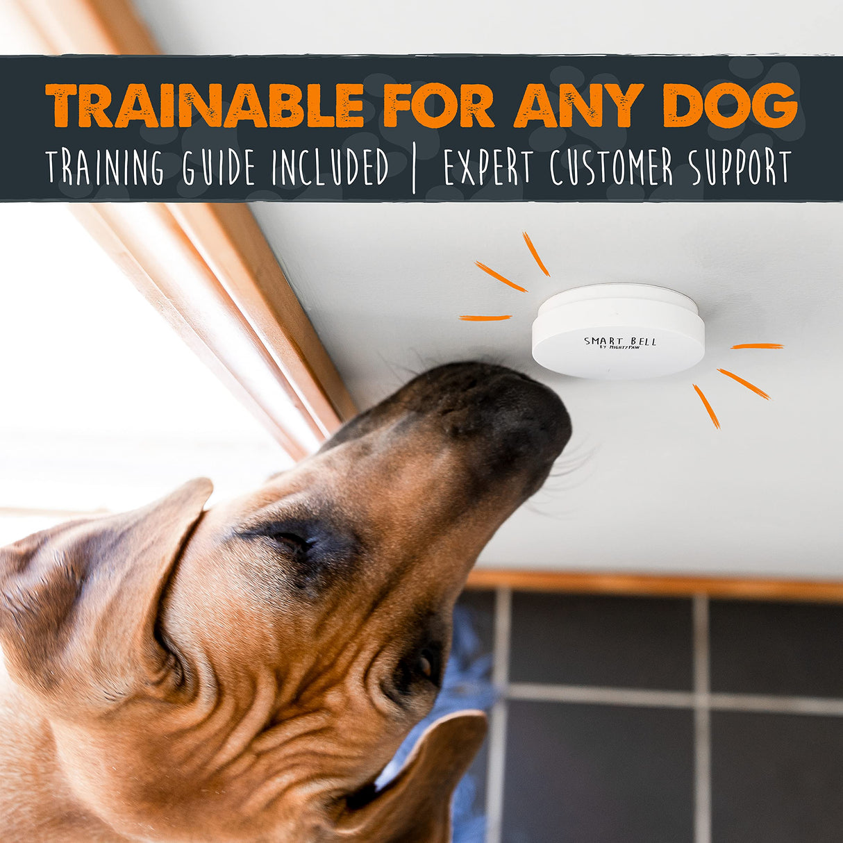 Mighty Paw Smart Bell 2.0 (2 Button Pack) - Wireless Electronic Dog Doorbell - Dog Potty Button Communication - Potty Training Aid - Pet Communication Tool - Puppy Potty Training - Doggie Bell - Build Your Ideas