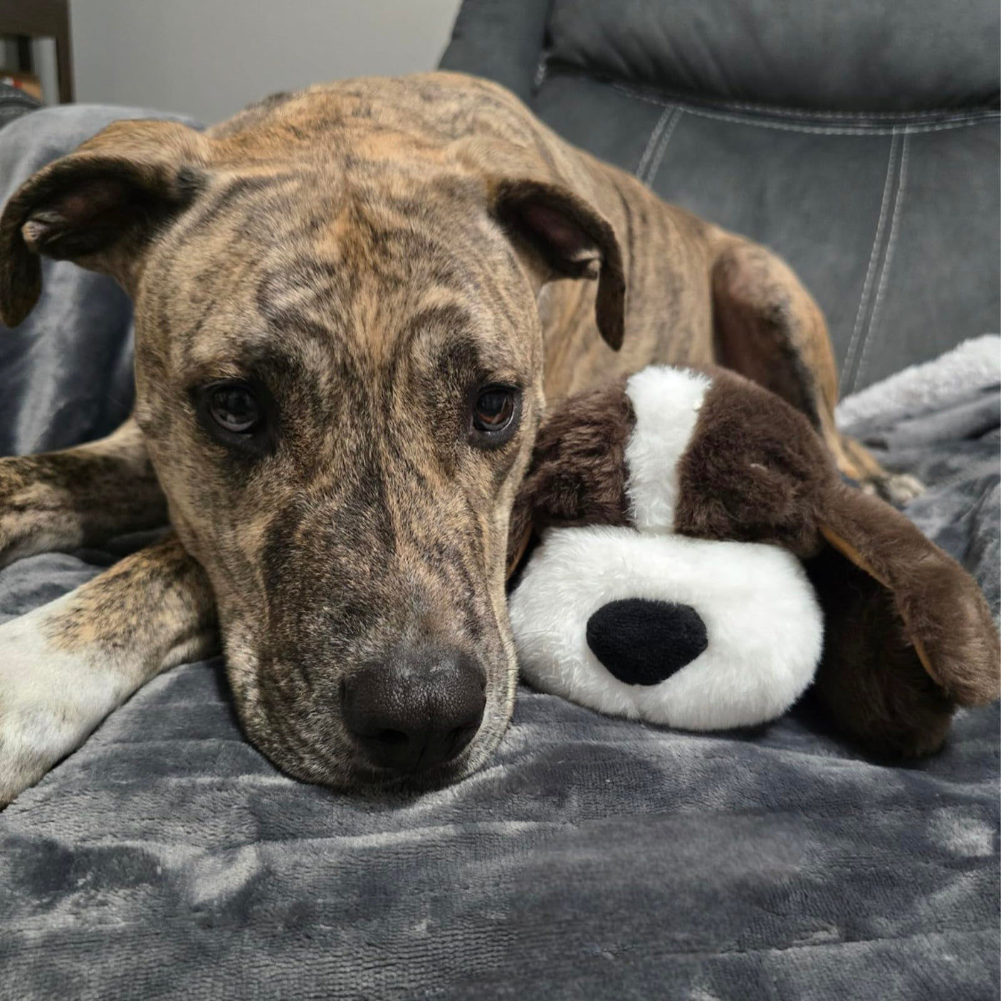 Original Snuggle Puppy Heartbeat Stuffed Dog Toy. Puppy Toy for Anxiety Relief, Calming Aid, and Comfort Toy for Behavioral Training in Golden - Build Your Ideas