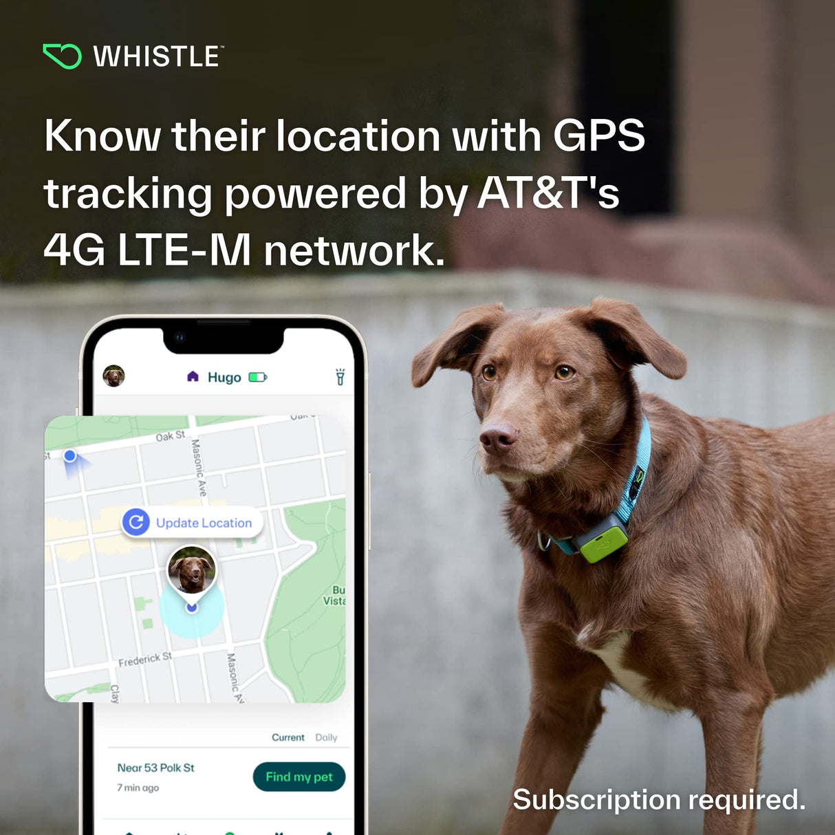 Whistle Go Explore/The Ultimate Health + GPS Location Tracker for Pets/Grey - Build Your Ideas