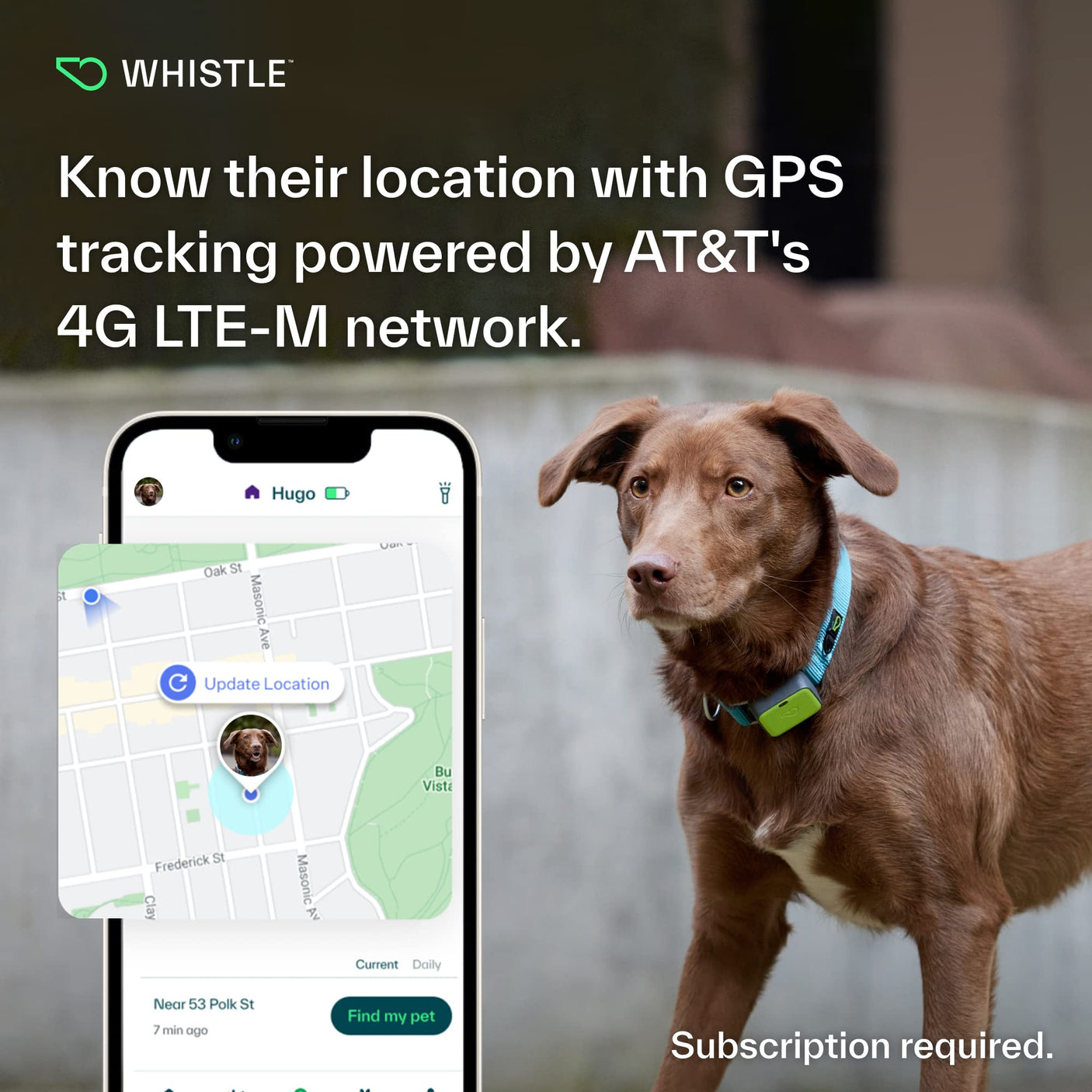 Whistle Go Explore/The Ultimate Health + GPS Location Tracker for Pets/Grey - Build Your Ideas