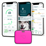 Whistle Go Explore/The Ultimate Health + GPS Location Tracker for Pets/Grey - Build Your Ideas
