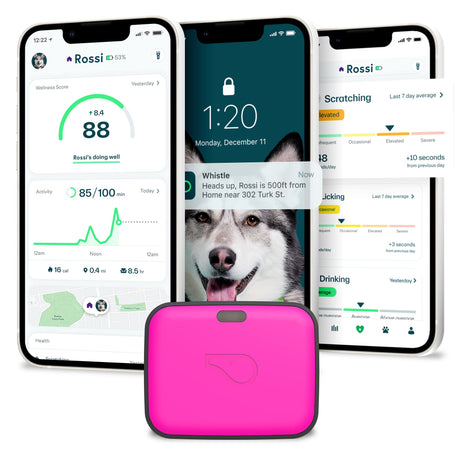 Whistle Go Explore/The Ultimate Health + GPS Location Tracker for Pets/Grey - Build Your Ideas
